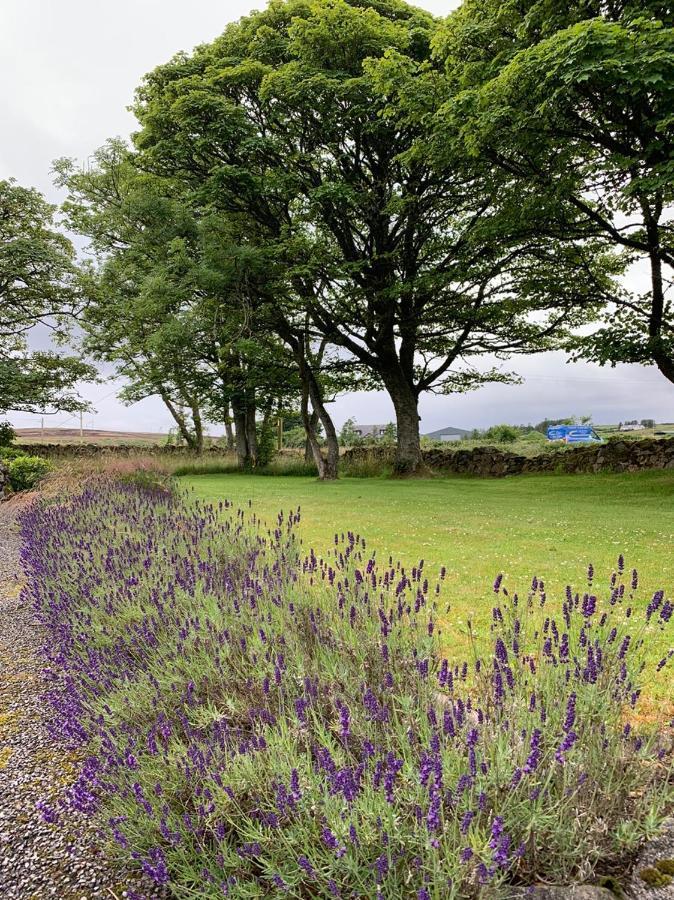 Bed and Breakfast Crawfield Grange Stonehaven Exterior foto